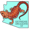 Extreme Dragons AZ