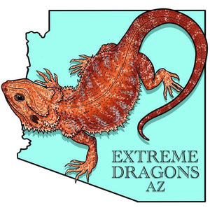 Extreme Dragons AZ